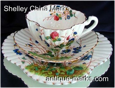 Shelley Marks - Wileman Foley China Trio c1886