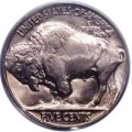 American Buffalo Nickel