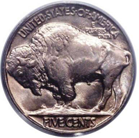 Buffalo Nickel c1899