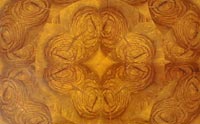 oystering olive wood veneer