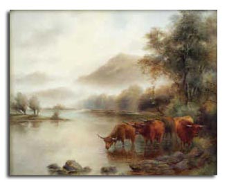 Worcester Stinton Highland Cattle Landscape