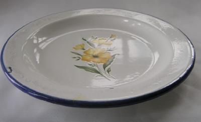 Floral Transfer on Enamel Plate