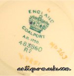 Coalport Mark c1886 with design number V7251