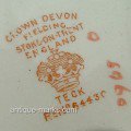 Crown Devon Mark - Teck Pattern