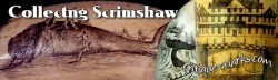 Collecting Scrimshaw - Antique Whale bone carvings